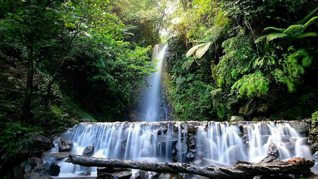 Pesona Alam Tersembunyi Curug Ngumpet di Bogor